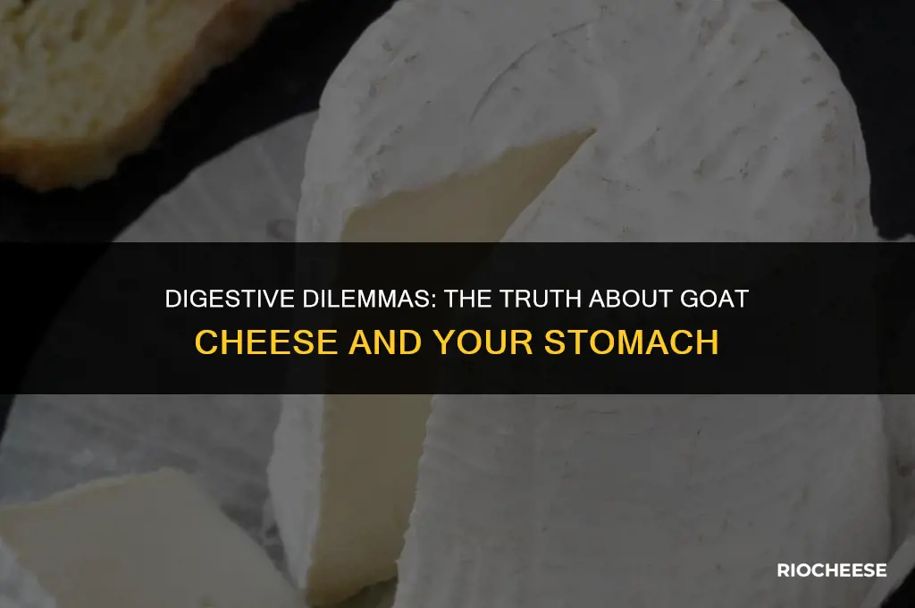 is goat cheese bad for your stomach