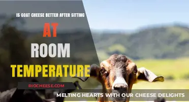 Unveiling the Truth: Goat Cheese's Room Temperature Revolution