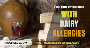 Exploring Goat Cheese: A Better Option for Dairy Allergy Sufferers?