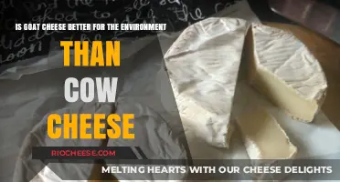 Eco-Friendly Dairy: Goat Cheese vs. Cow Cheese - Which is Greener?