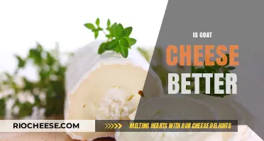 The Great Goat Cheese Debate: A Taste Test Comparison