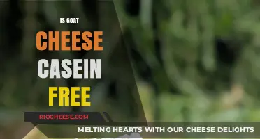 Exploring Dairy Alternatives: Is Goat Cheese Casein-Free?
