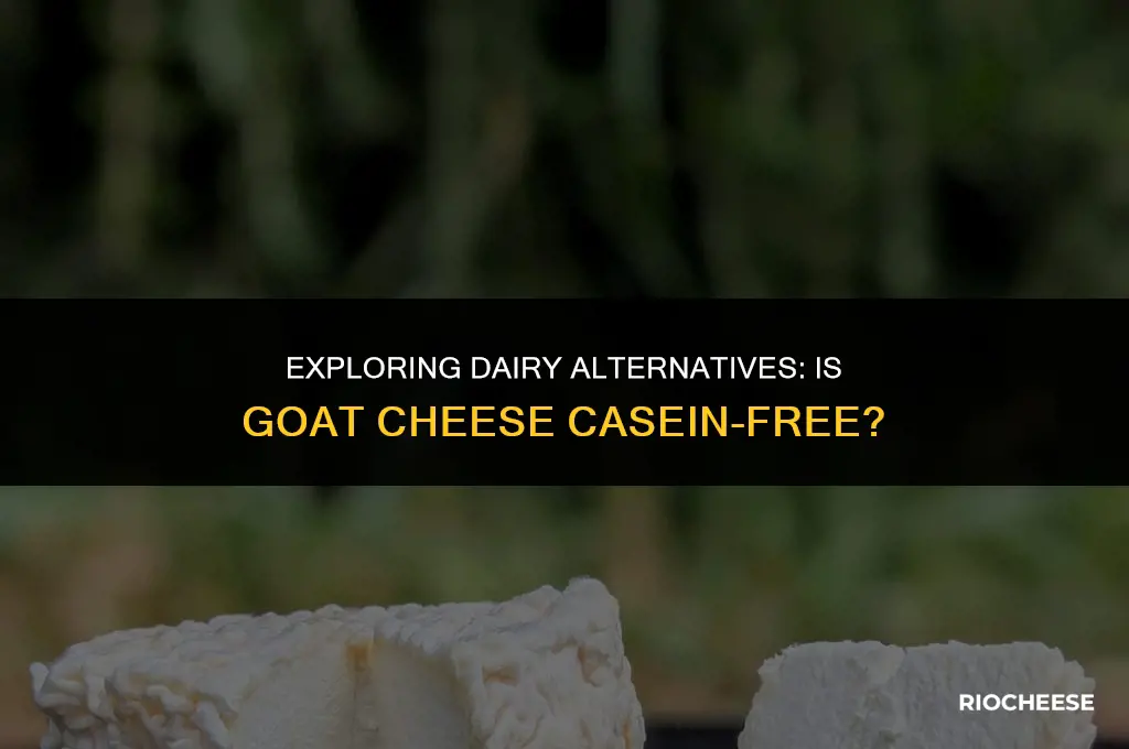 is goat cheese casein free