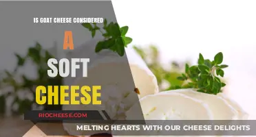 Exploring the Texture: Is Goat Cheese a Soft Cheese?