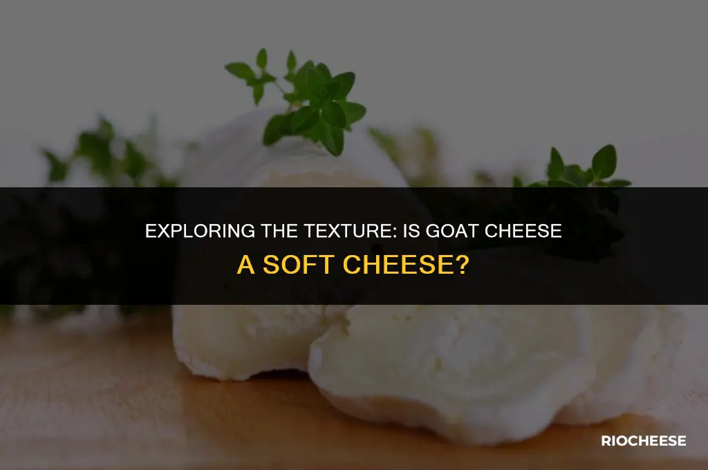 is goat cheese considered a soft cheese