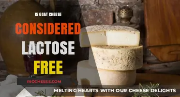 Exploring Dairy Alternatives: Is Goat Cheese Truly Lactose-Free?