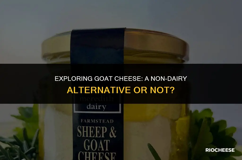 is goat cheese considered non dairy