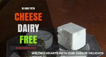 Exploring Goat Feta Cheese: A Dairy-Free Alternative?