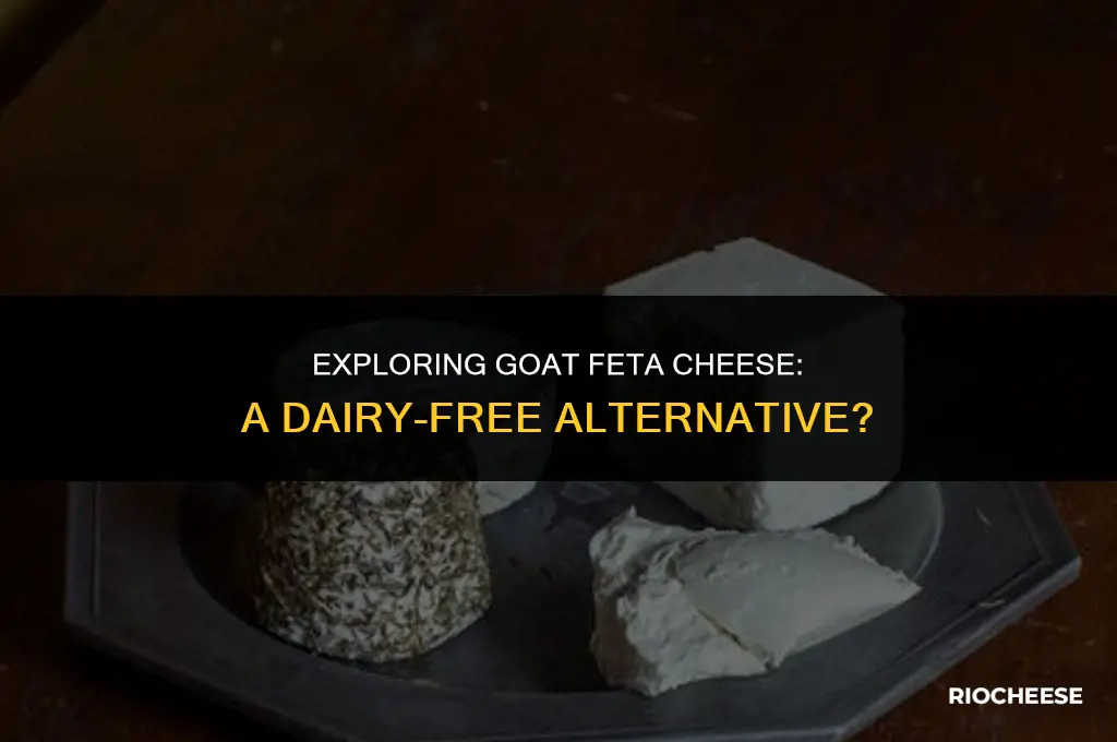 is goat feta cheese dairy free