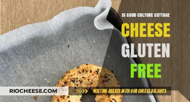 Exploring Cottage Cheese: A Gluten-Free Delight for Health Enthusiasts