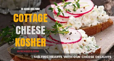 Exploring Kosher Dairy: Is Cottage Cheese on the Menu?