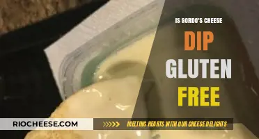 Delving into Gordo's Cheese Dip: A Gluten-Free Delight?