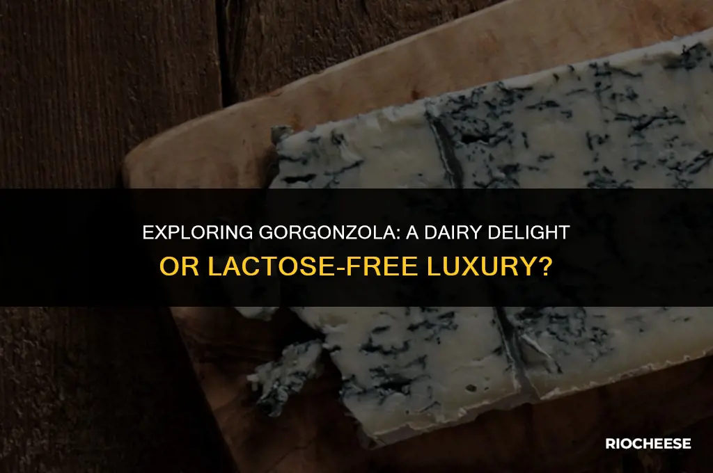 is gorgonzola cheese dairy free