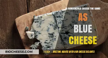 Decoding Dairy: Gorgonzola vs Blue Cheese - A Taste Comparison