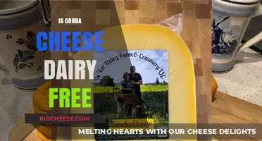 Exploring Gouda: A Journey into Dairy-Free Cheese Alternatives