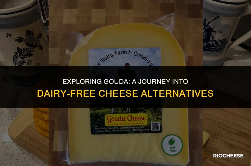 is gouda cheese dairy free
