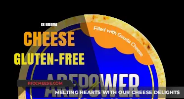 Exploring Gouda: A Delicious Journey into Gluten-Free Cheese