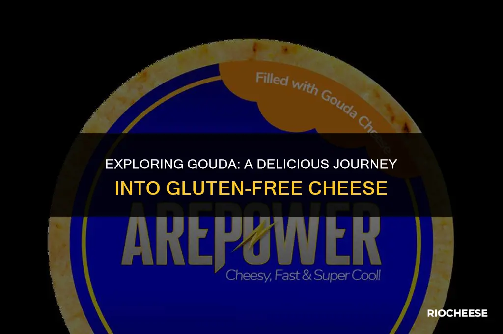 is gouda cheese gluten-free