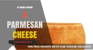 Exploring the Rich World of Italian Cheeses: Grana Padano vs. Parmesan