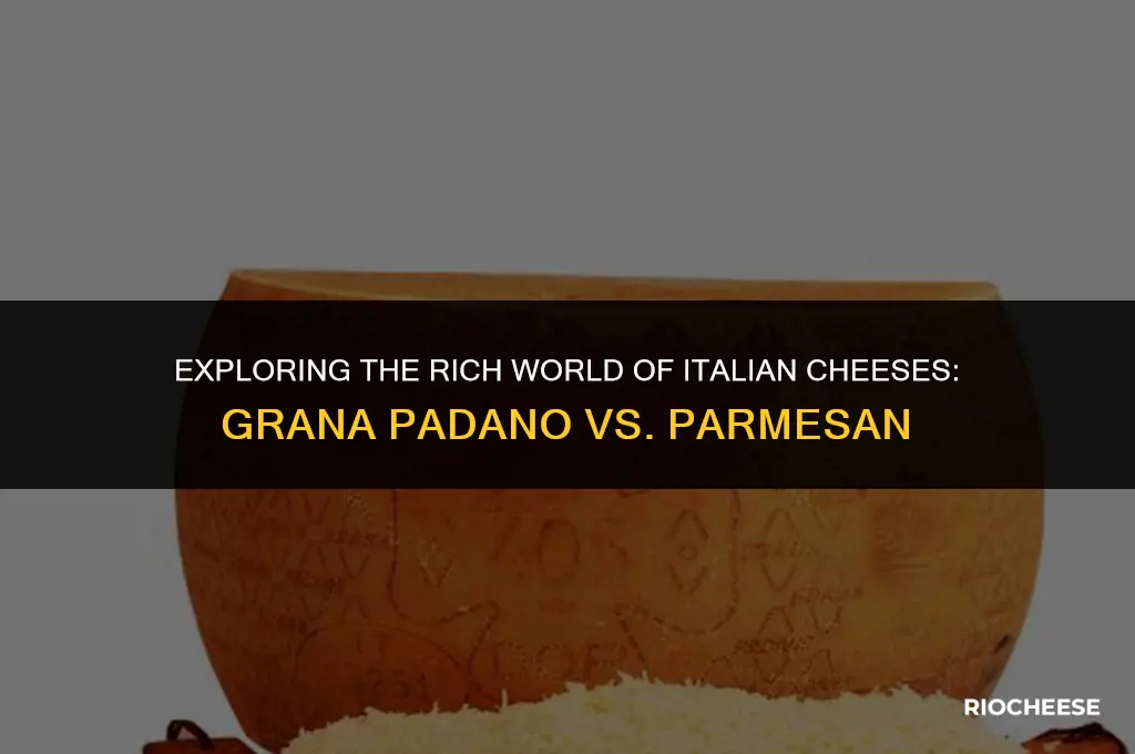 is grana padano a parmesan cheese