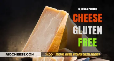 Exploring the Gluten-Free Status of Grana Padano Cheese