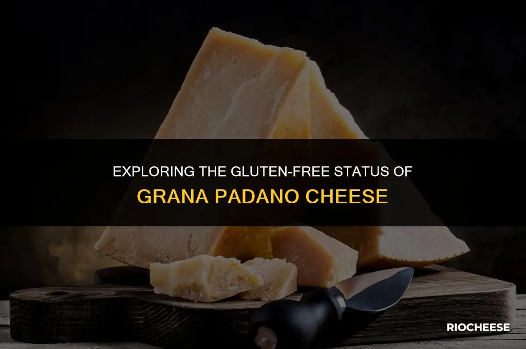 is grana padano cheese gluten free