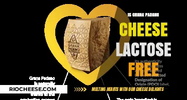 Exploring Grana Padano: A Lactose-Free Cheese Option?