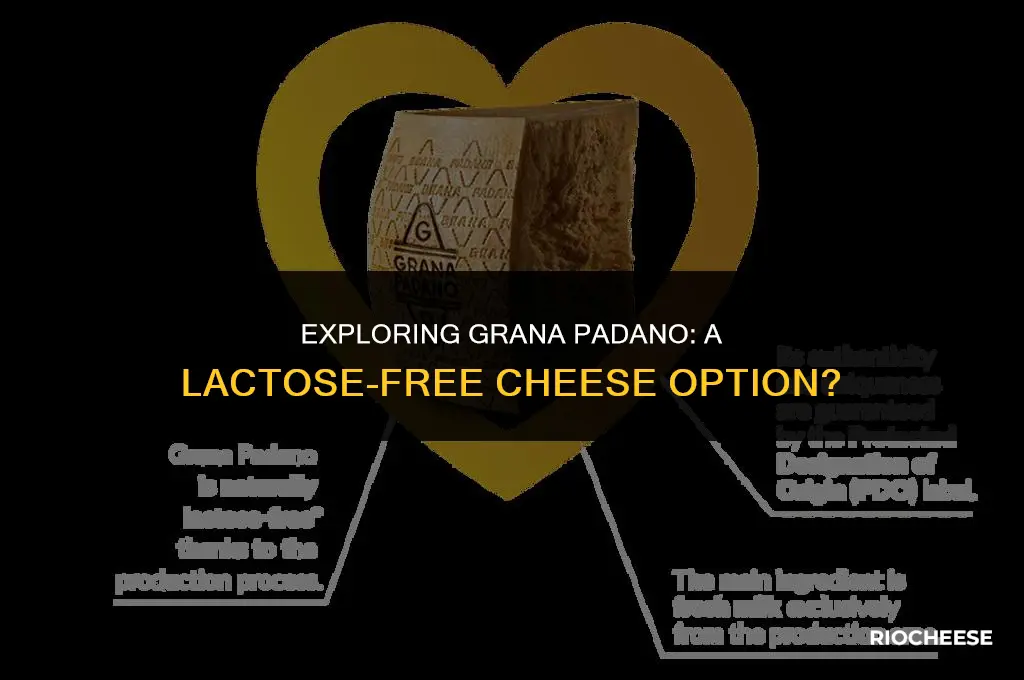 is grana padano cheese lactose free