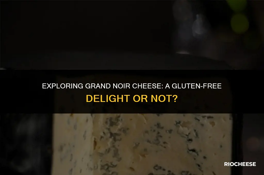 is grand noir cheese gluten free