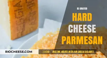 Exploring the Richness of Grated Hard Cheese: Is Parmesan the King?