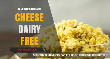 Exploring Dairy-Free Alternatives: The Truth About Grated Parmesan Cheese