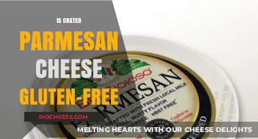 Savoring Flavor: Is Grated Parmesan Cheese Gluten-Free?