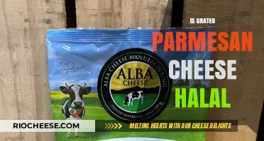 Exploring the Halal Status of Grated Parmesan Cheese