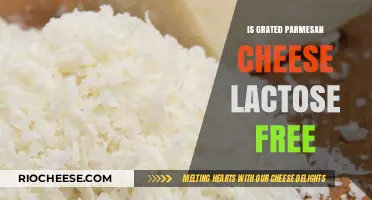 Lactose-Free Living: The Truth About Grated Parmesan Cheese
