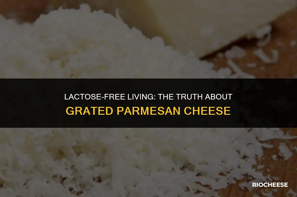 is grated parmesan cheese lactose free