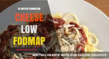 Navigating Low FODMAP Diets: The Truth About Grated Parmesan Cheese