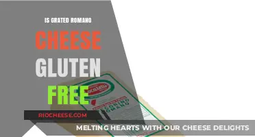 Savoring Flavor: Is Grated Romano Cheese Gluten-Free?