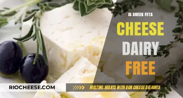 Exploring Greek Feta Cheese: Dairy-Free or Not?
