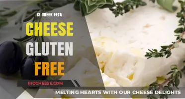 Exploring Greek Feta Cheese: A Gluten-Free Delight or Not?