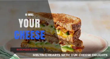 The Ultimate Guide to Perfectly Grilled Cheese Sandwiches