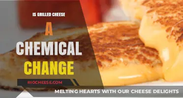 The Science of Comfort Food: Is Grilled Cheese a Chemical Change?