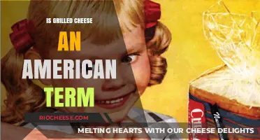 Exploring the Origins: Is Grilled Cheese Truly an American Term?