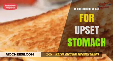 Soothing Your Upset Stomach: The Grilled Cheese Conundrum