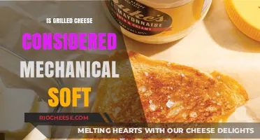 Exploring the Textural Nuances: Is Grilled Cheese Mechanical Soft?