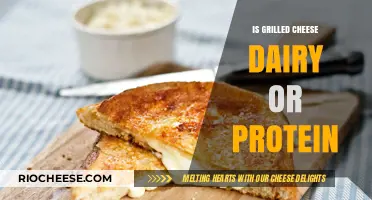 Grilled Cheese: A Dairy Delight or Protein Powerhouse?