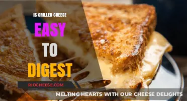 Digestive Ease: The Truth About Grilled Cheese Sandwiches