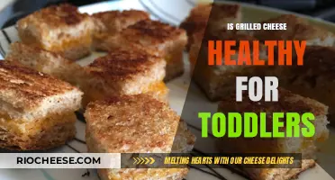 Nutritious or Not? Grilled Cheese for Toddlers Uncovered
