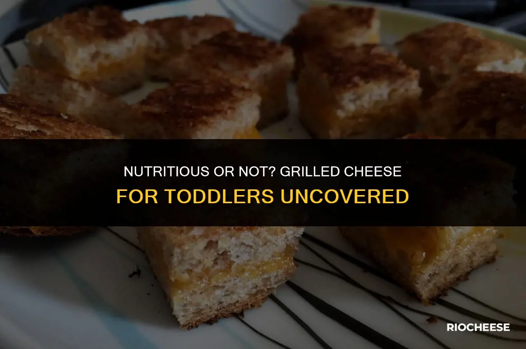 is grilled cheese healthy for toddlers