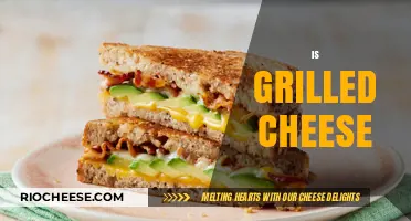 The Ultimate Comfort Food: Grilled Cheese Sandwich Recipes and More