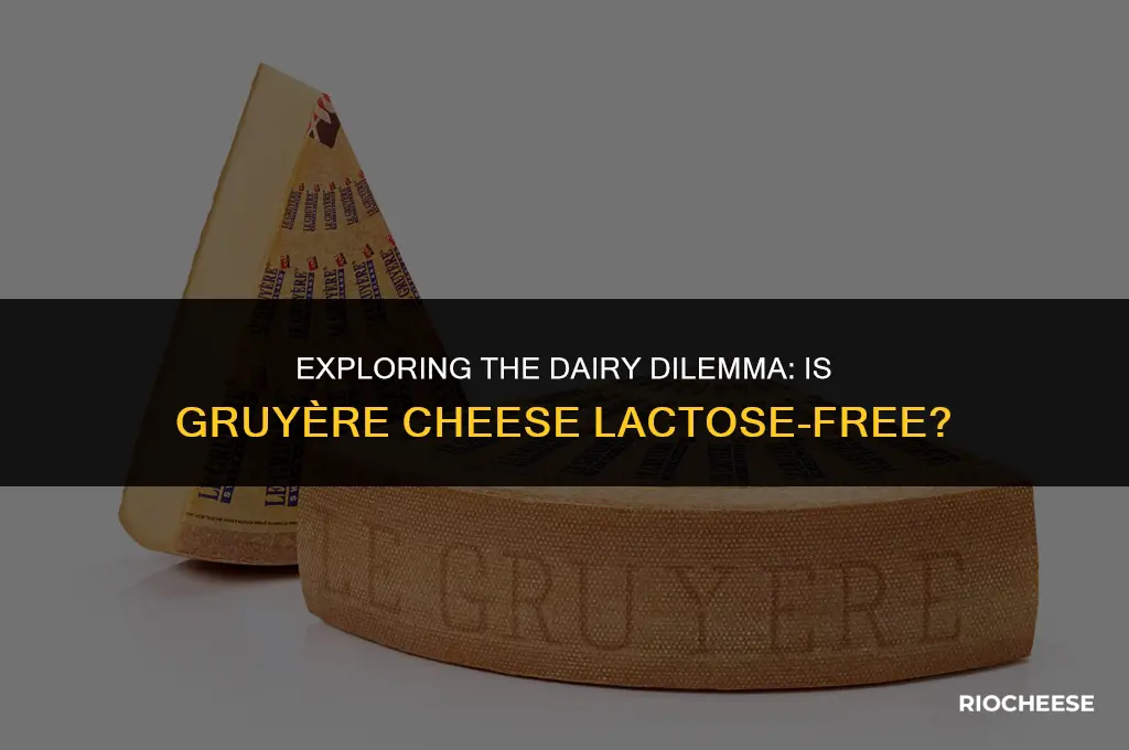 is gruyere cheese dairy free